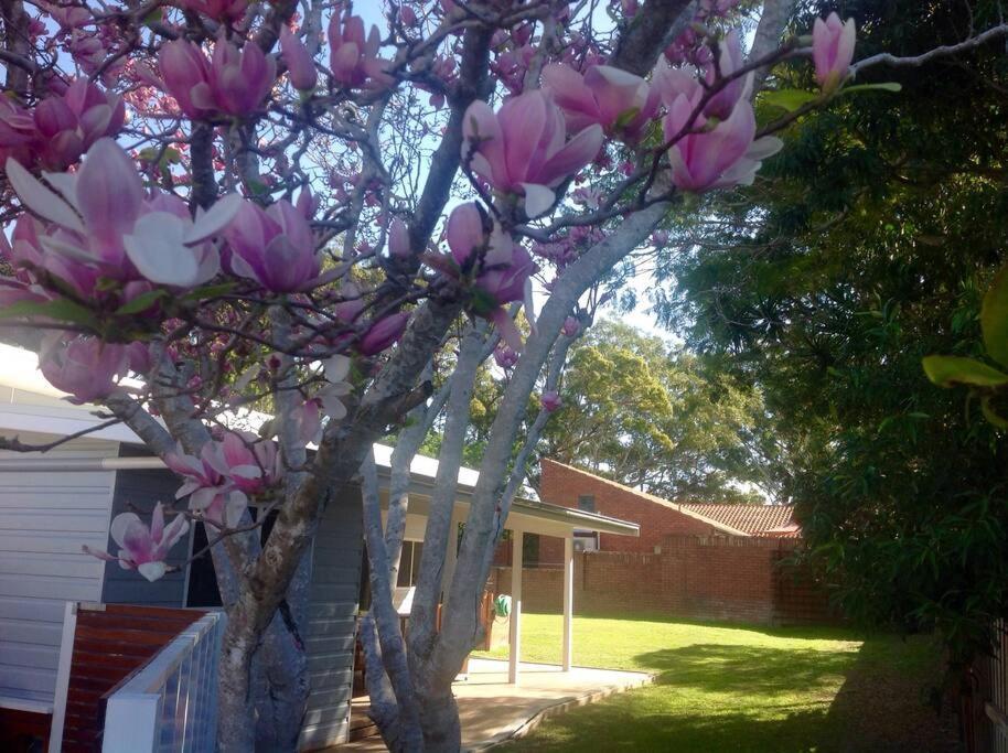 Magnolia Cottage Coffs Harbour Exteriör bild