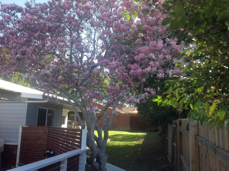 Magnolia Cottage Coffs Harbour Exteriör bild