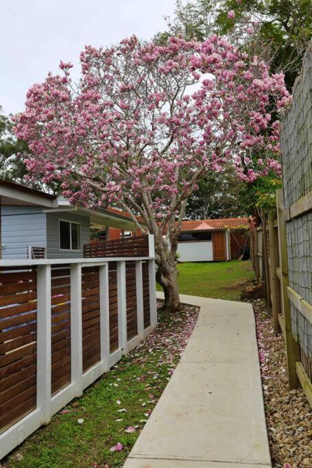 Magnolia Cottage Coffs Harbour Exteriör bild