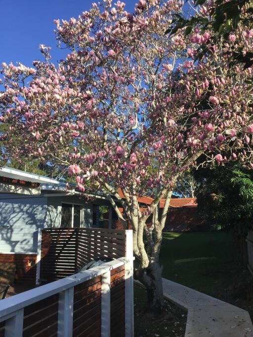 Magnolia Cottage Coffs Harbour Exteriör bild